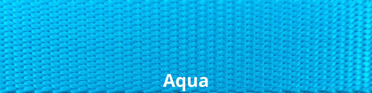 Sports Doggie Leash - Aqua