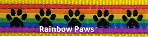Bungee Leash - Paws Rainbow