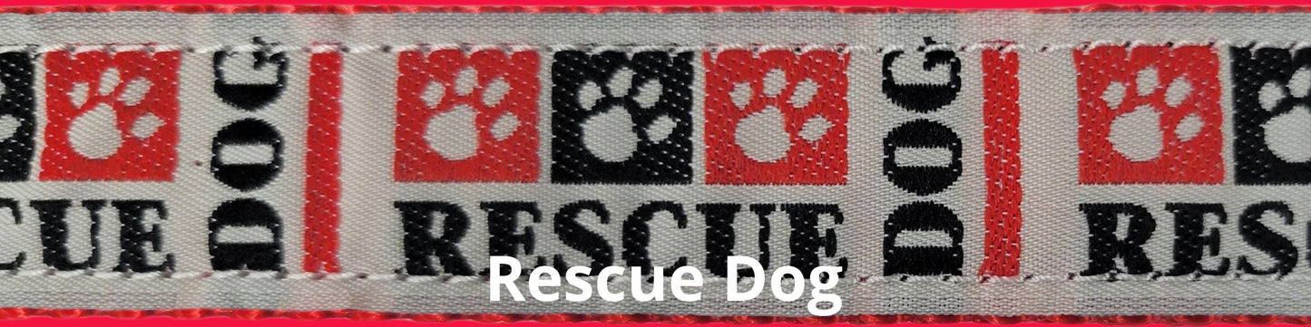 Super Bungee Leash - Rescue Dog