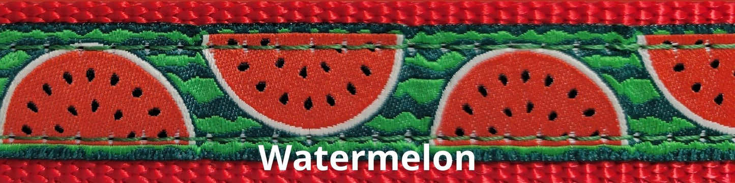 Limited Slip Collar - Watermelon