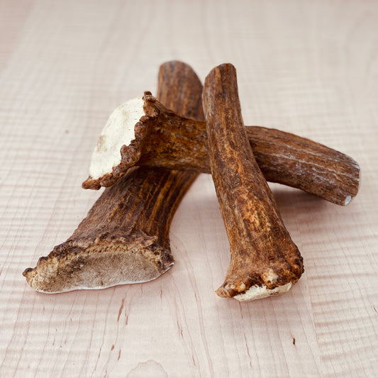 Organic Antler Dog Chew