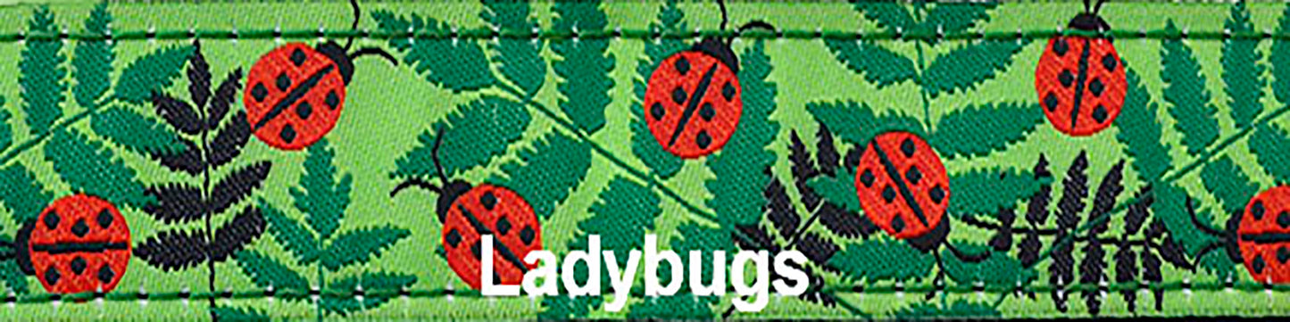 Limited Slip Collar - Ladybug