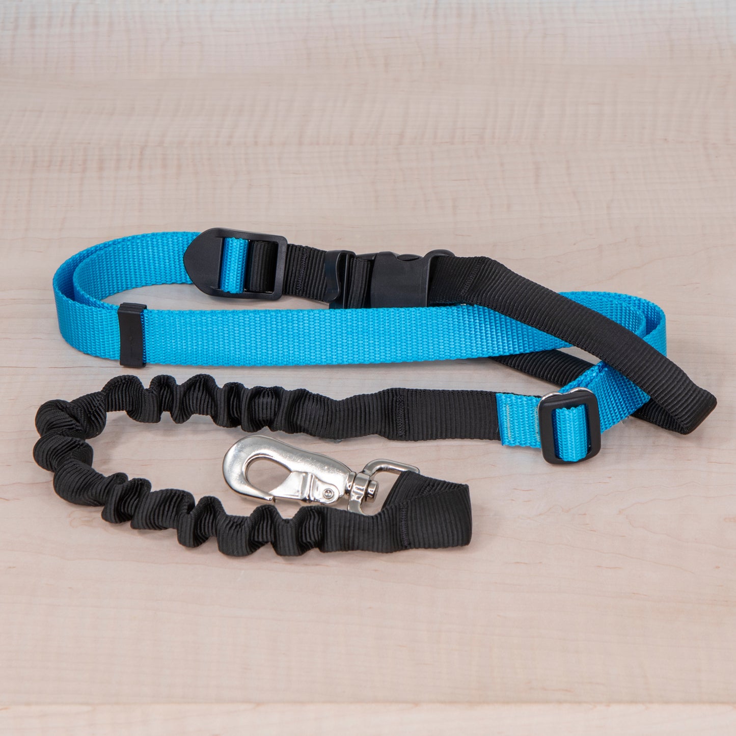 Super Bungee Leash - Aqua