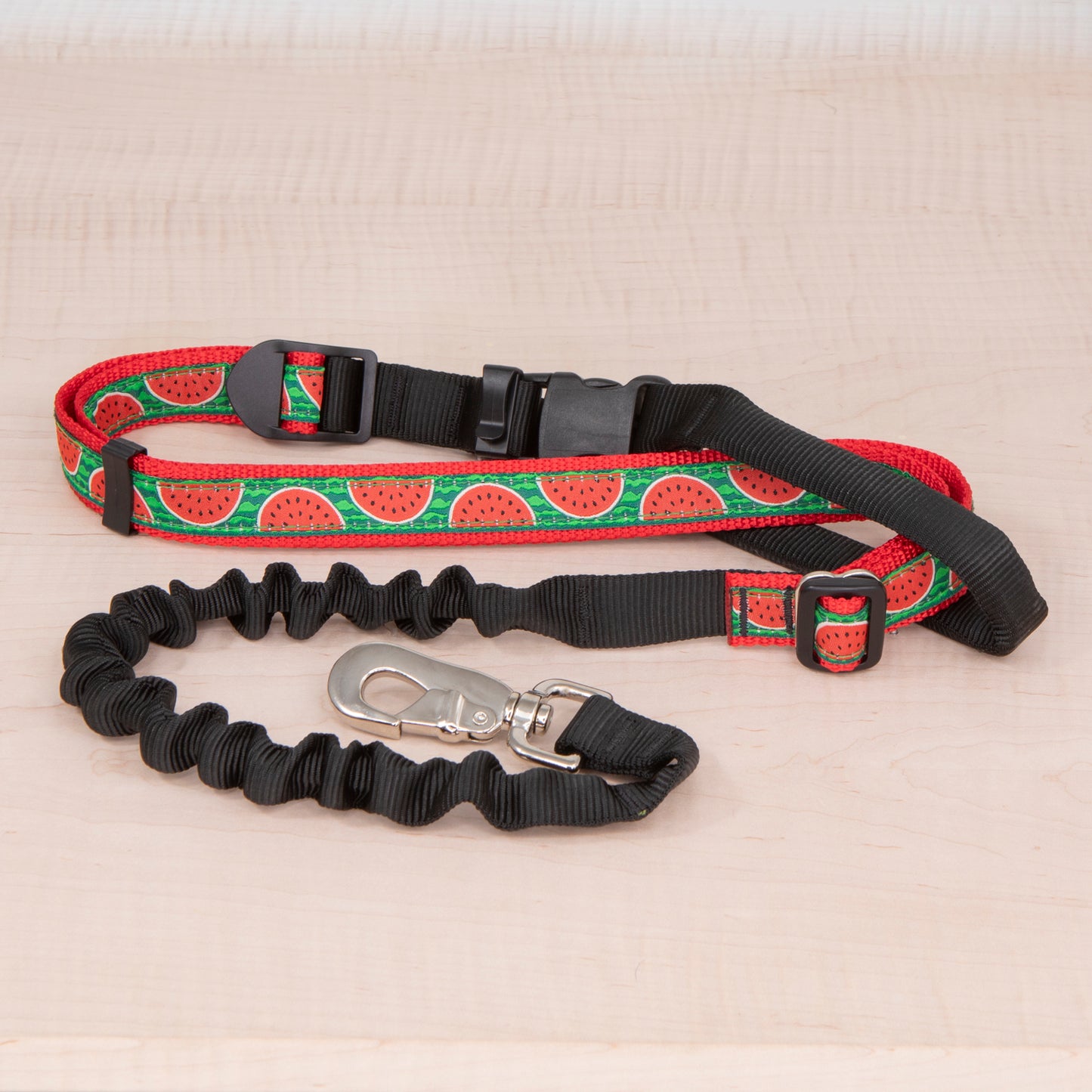 Super Bungee Leash - Watermelon