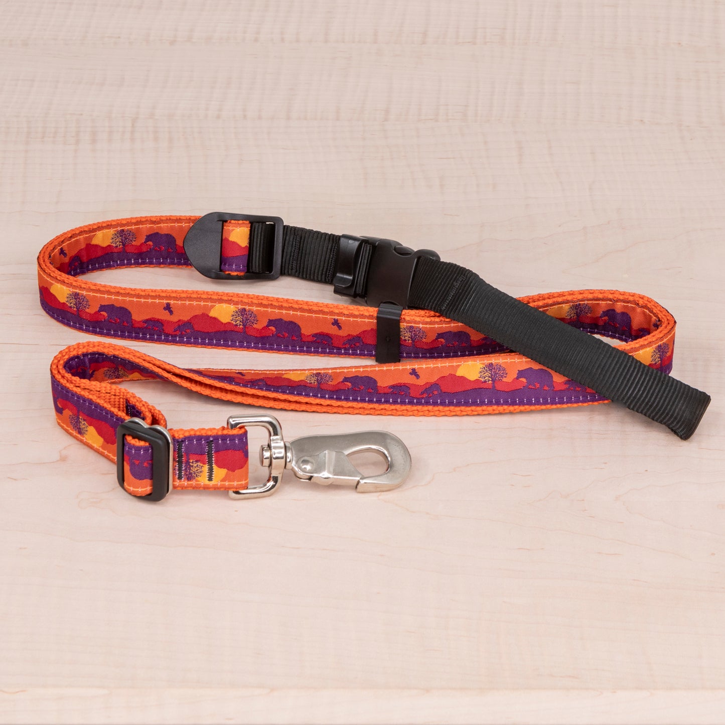 Sports Doggie Leash - Bears