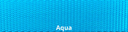 Sports Doggie Leash - Aqua