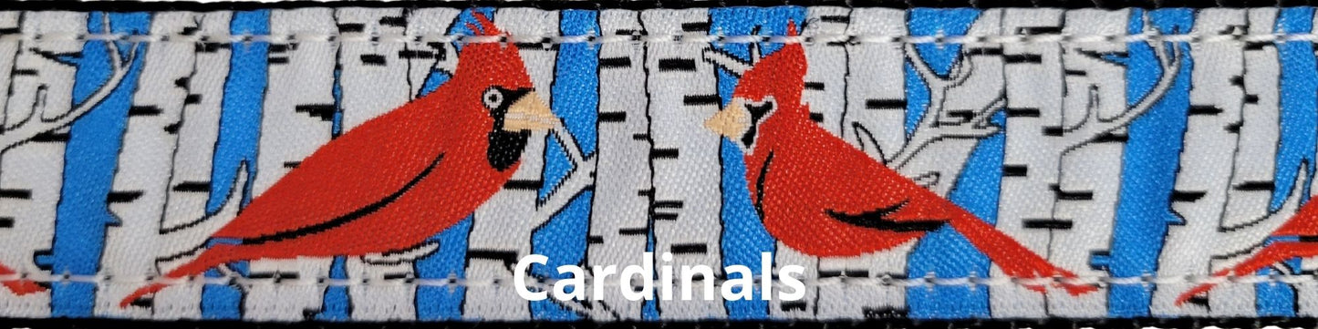 Sports Doggie Leash - Cardinals