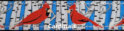 Sports Doggie Leash - Cardinals
