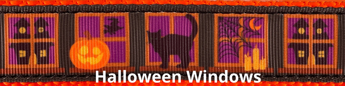 *SPECIAL* Limited Slip Collar - Halloween Windows