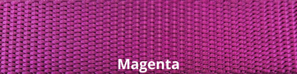 Sports Doggie Leash - Magenta