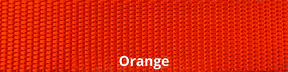 Sports Doggie Leash - Orange