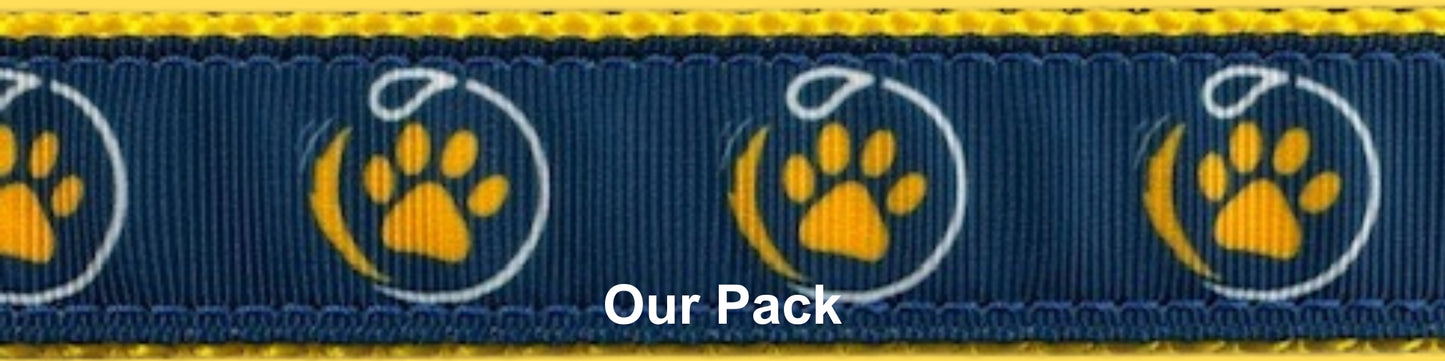 Sports Doggie Leash - Our Pack