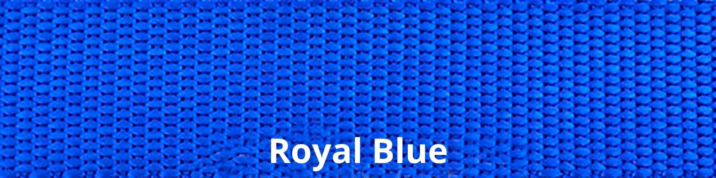 Sports Doggie Leash - Royal