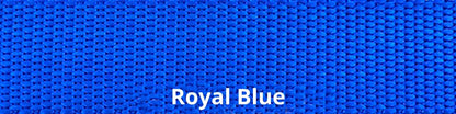 Sports Doggie Leash - Royal