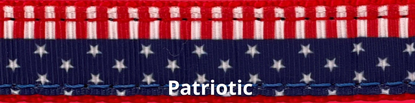 Sports Doggie Leash - Patriotic
