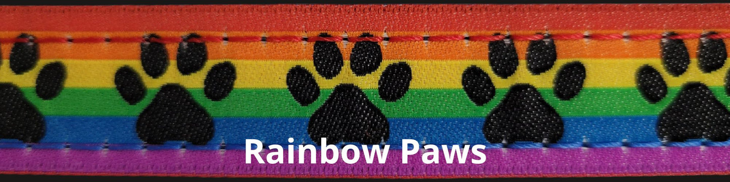 Sports Doggie Leash - Rainbow Paws