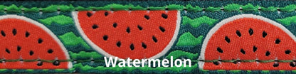 Sports Doggie Leash - Watermelon