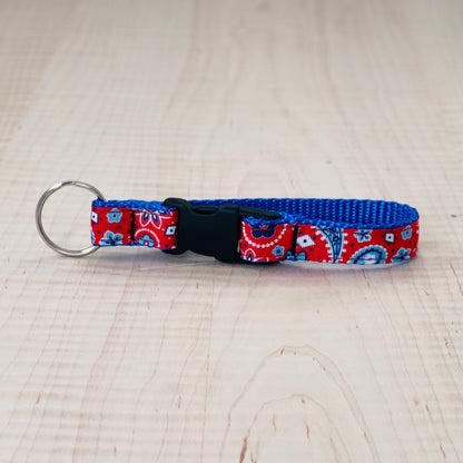 Clip Key Ring 3/4"