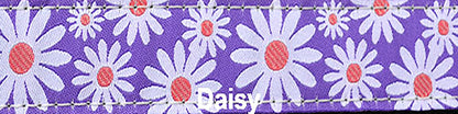 Sports Doggie Leash - Daisy