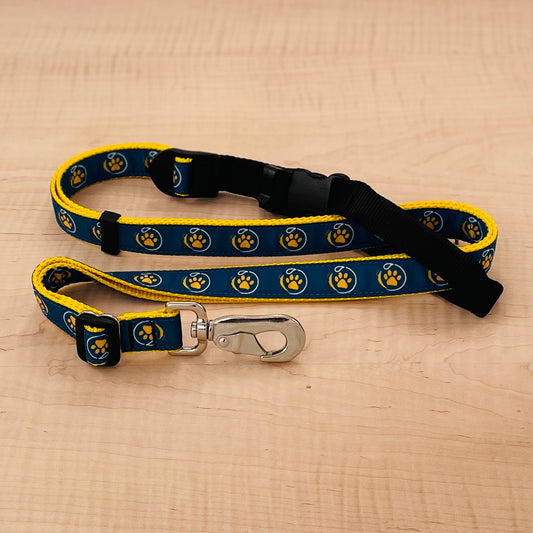 Sports Doggie Leash -  Our Pack