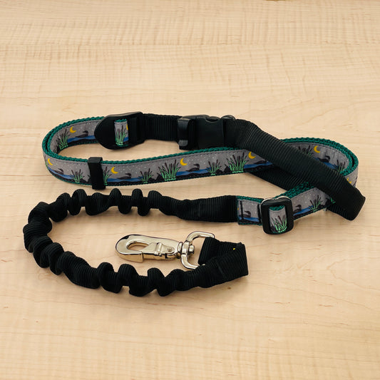Super Bungee Leash - Loons