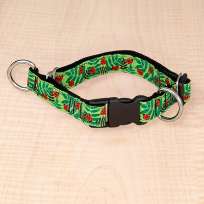 Limited Slip Collar - Ladybug