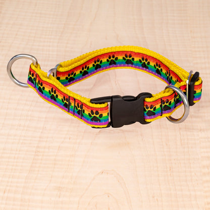Limited Slip Collar - Rainbow Paws