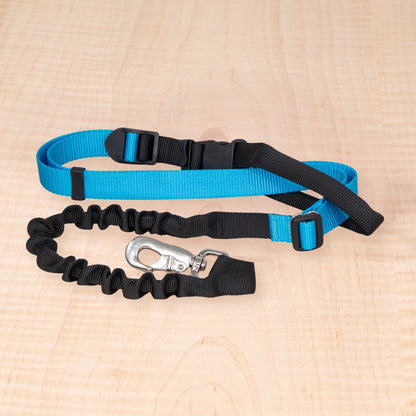Bungee Leash - Aqua