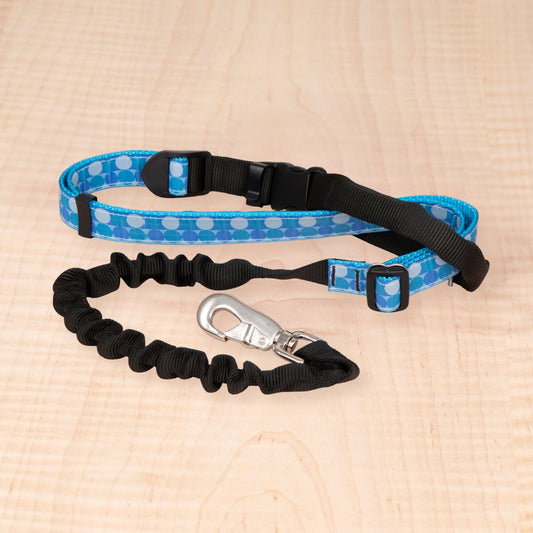 Super Bungee Leash - Aqua Dots