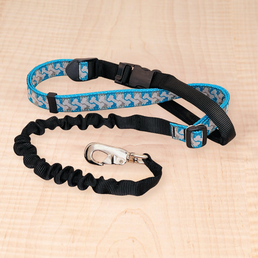 Super Bungee Leash - Bones