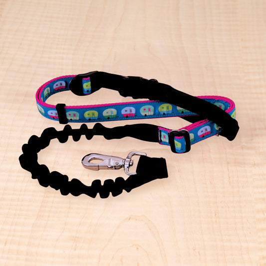 Super Bungee Leash - Campers