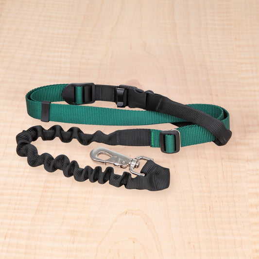 Super Bungee Leash - Green