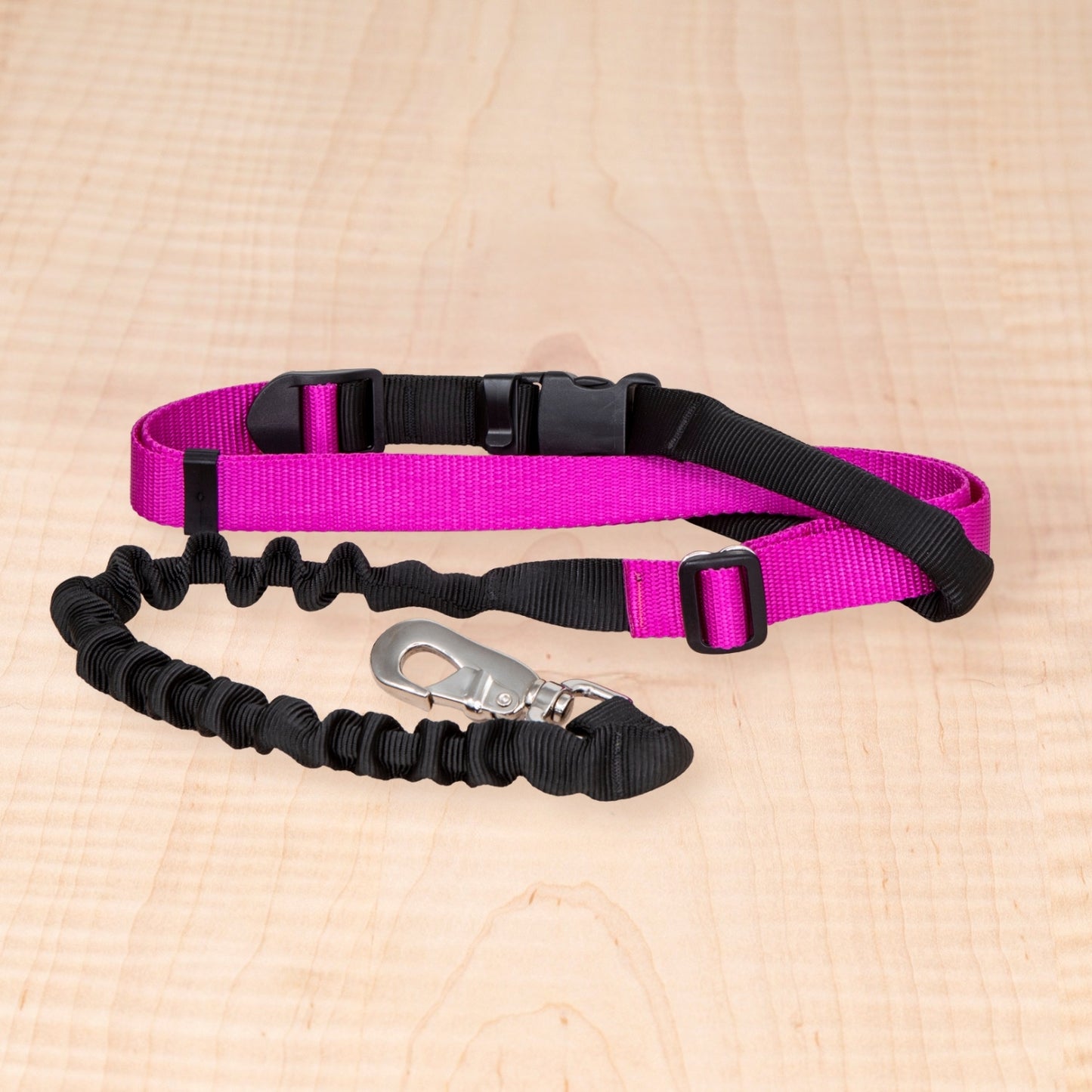 Bungee Leash - Magenta