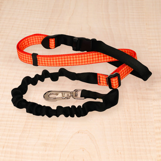 Super Bungee Leash - Orange Check