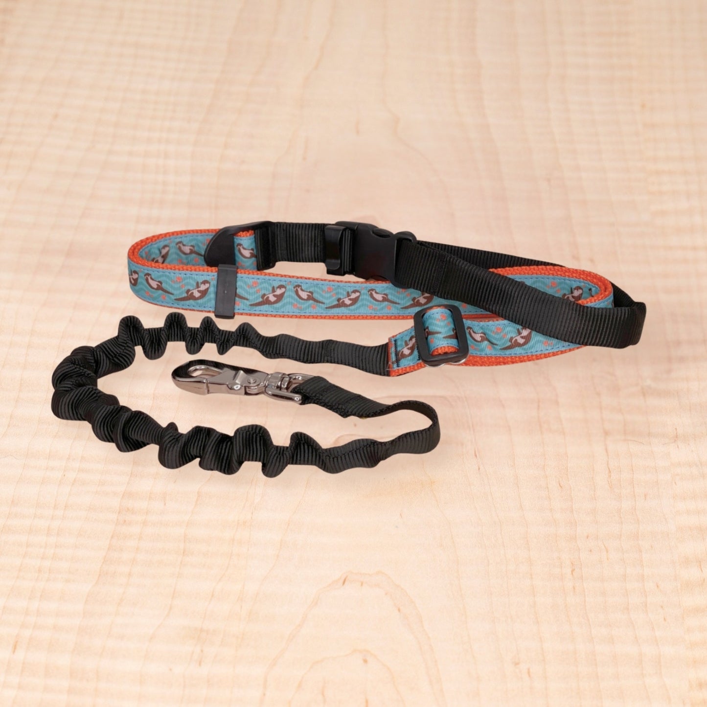 Bungee Leash - Otters