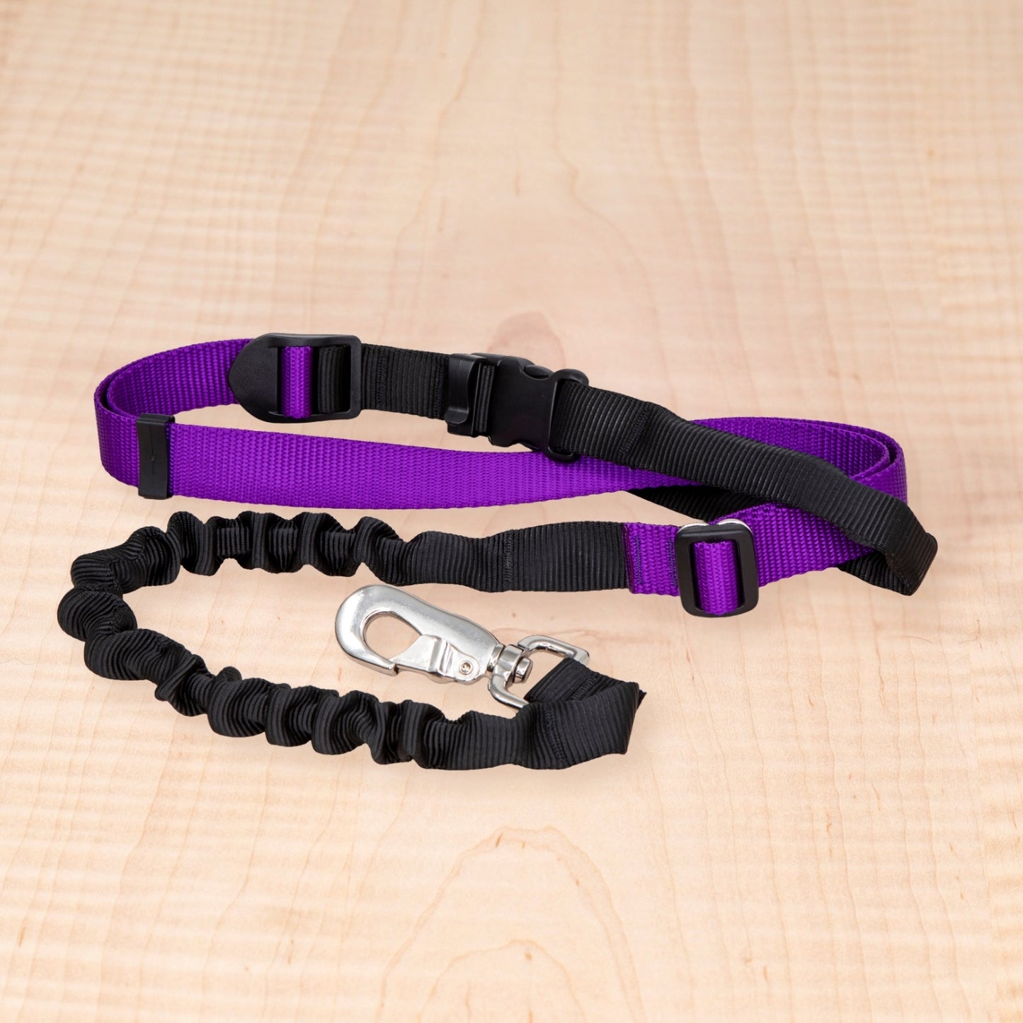 Bungee Leash - Purple