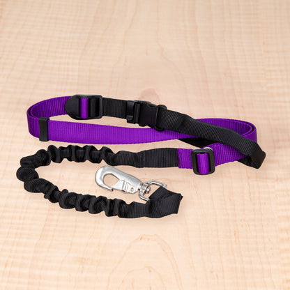 Bungee Leash - Purple