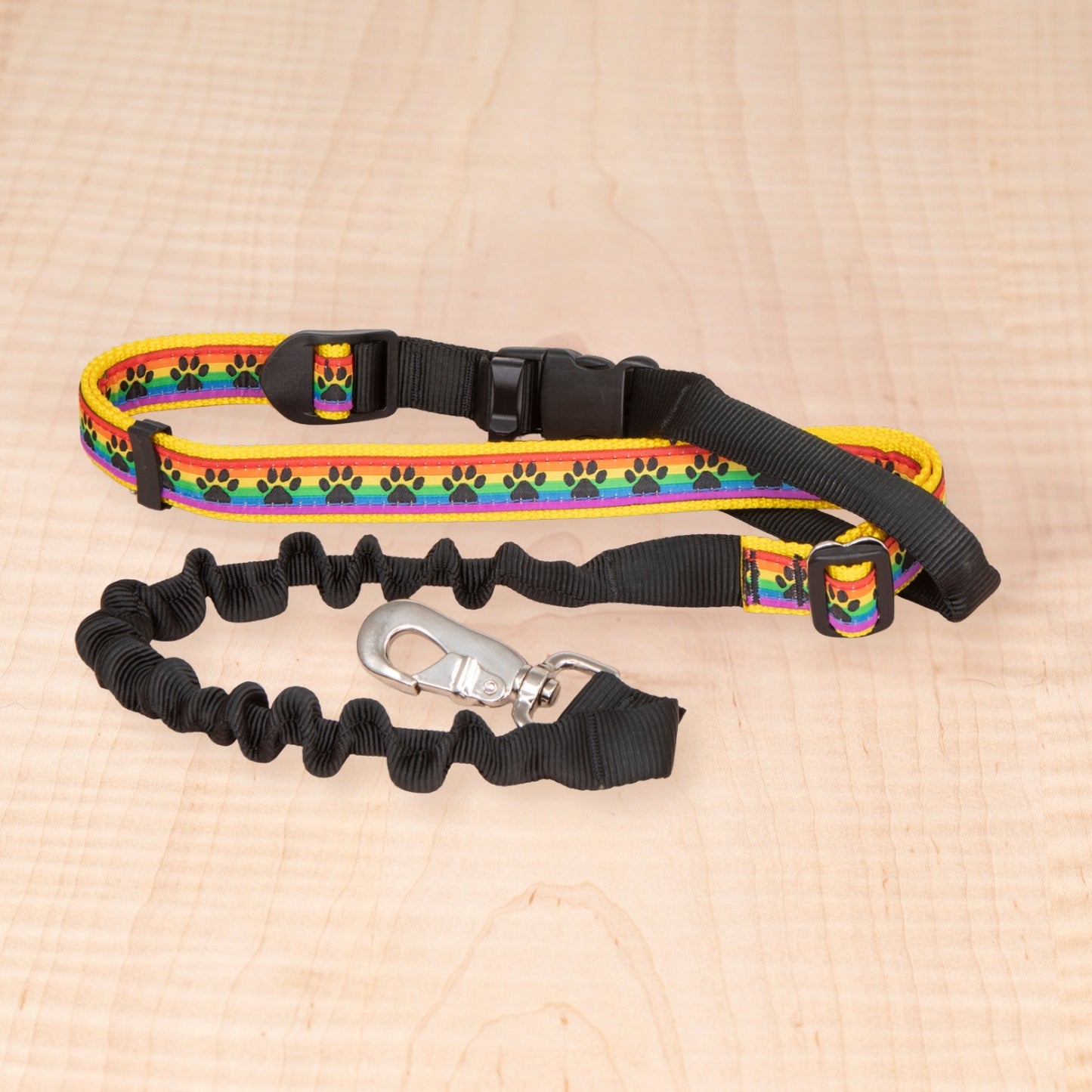 Bungee Leash - Paws Rainbow