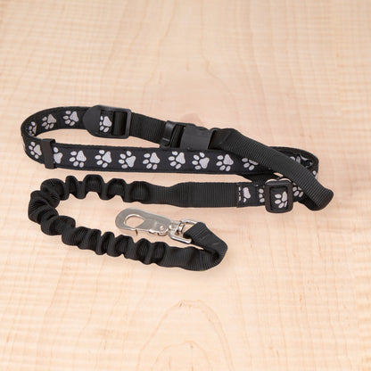 Bungee Leash - Reflective Paws Black