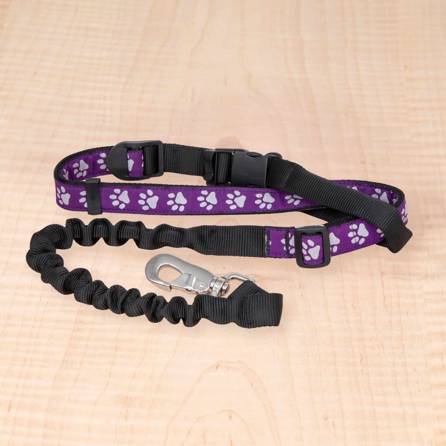 Bungee Leash - Reflective Paws Purple