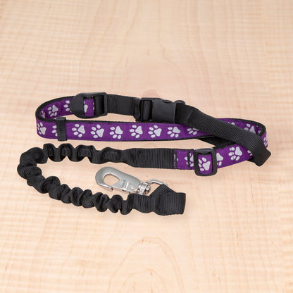 Bungee Leash - Reflective Paws Purple