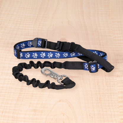 Bungee Leash - Reflective Paws Royal