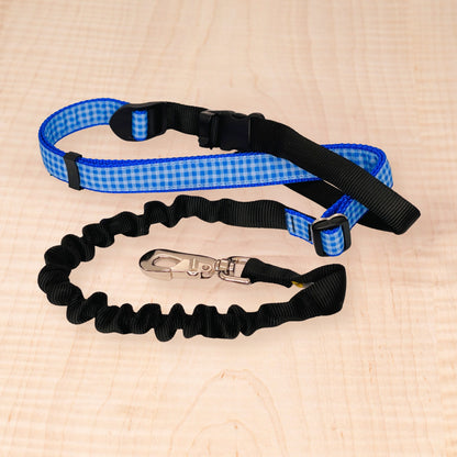 Bungee Leash - Check Royal