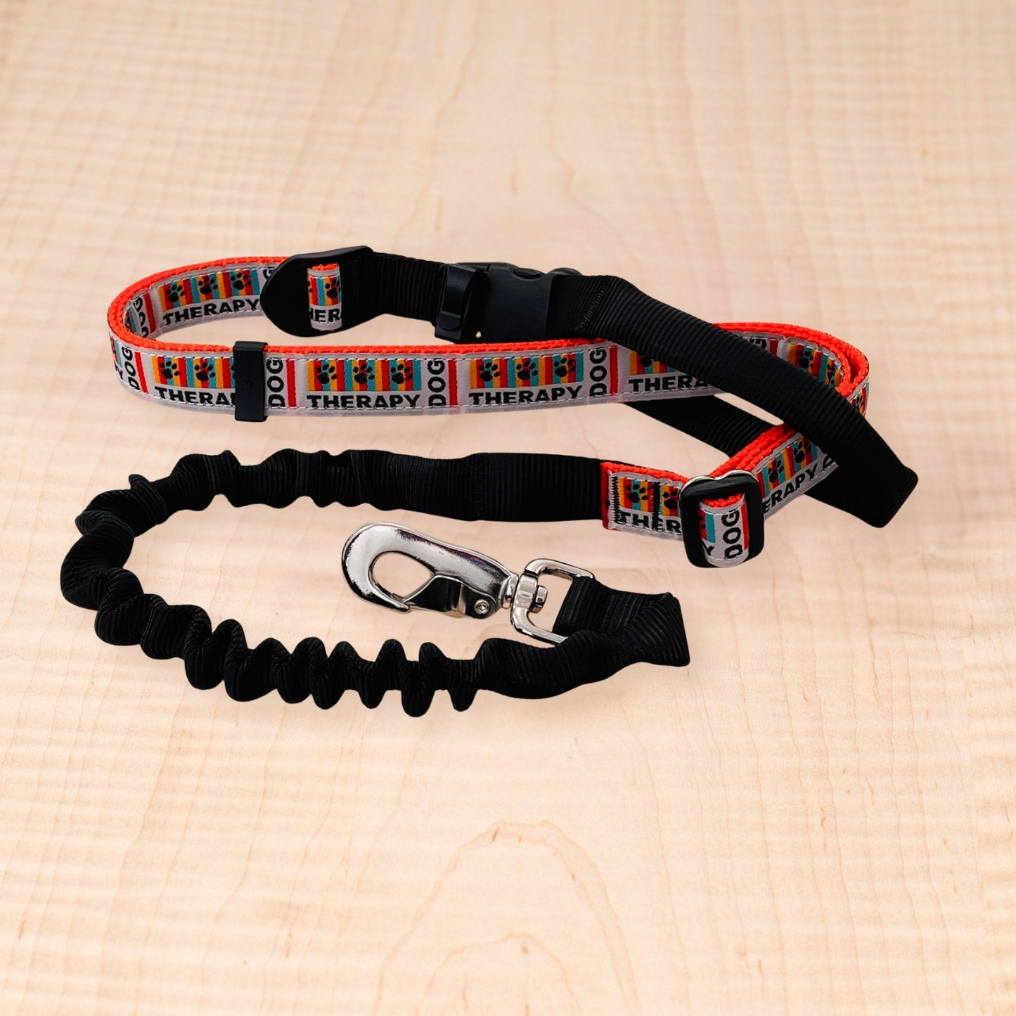 Super Bungee Leash - Therapy Dog