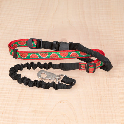 Bungee Leash - Watermelon