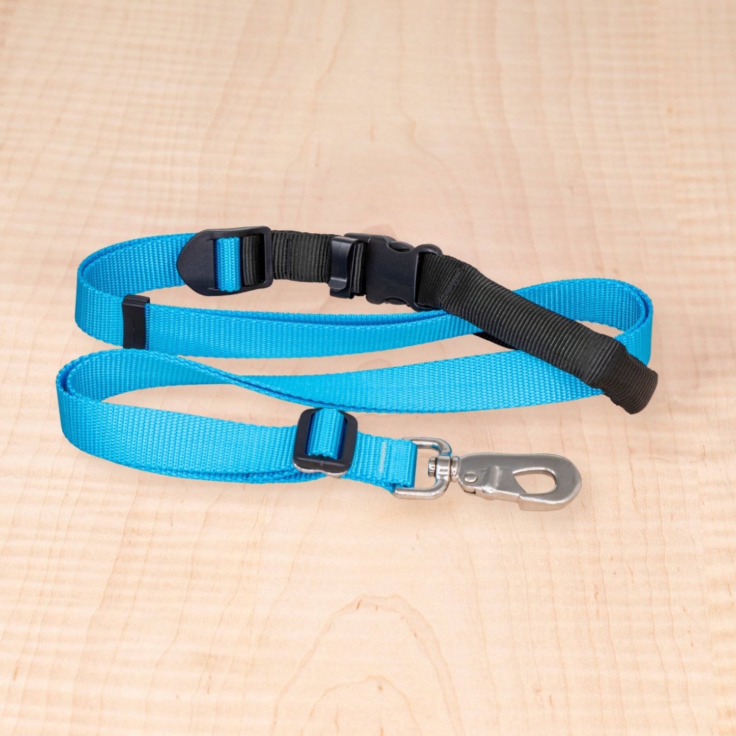 Sports Doggie Leash - Aqua