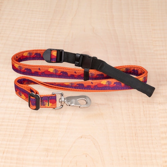 Sports Doggie Leash - Bears