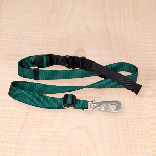 Sports Doggie Leash - Green