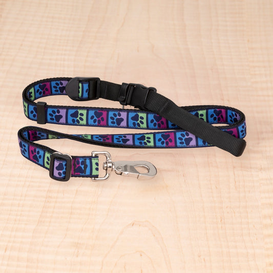 Sports Doggie Leash - Jewel Tone Paws