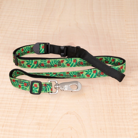 Sports Doggie Leash - Ladybug
